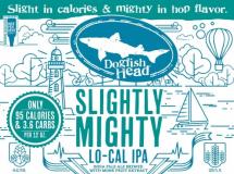 Dogfish Head - Slightly Mighty (12 pack cans) (12 pack cans)